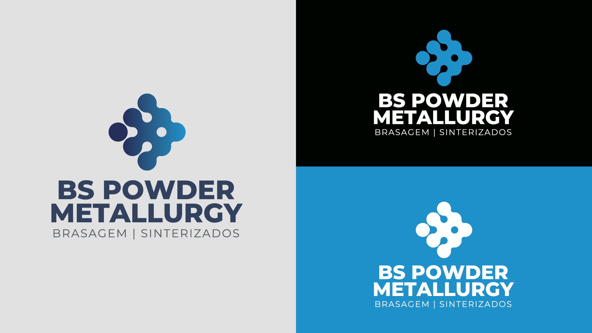 BSM_Logo-3