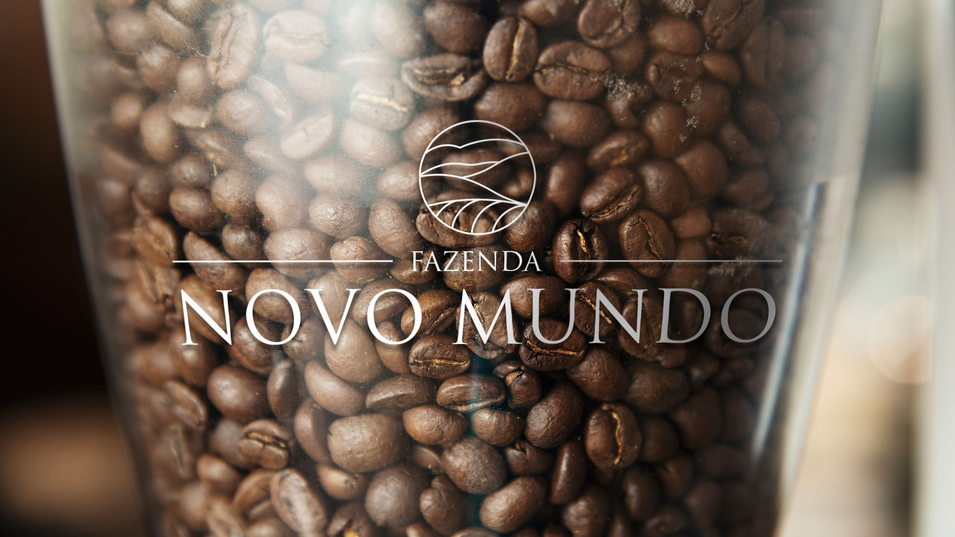FNM_moenda