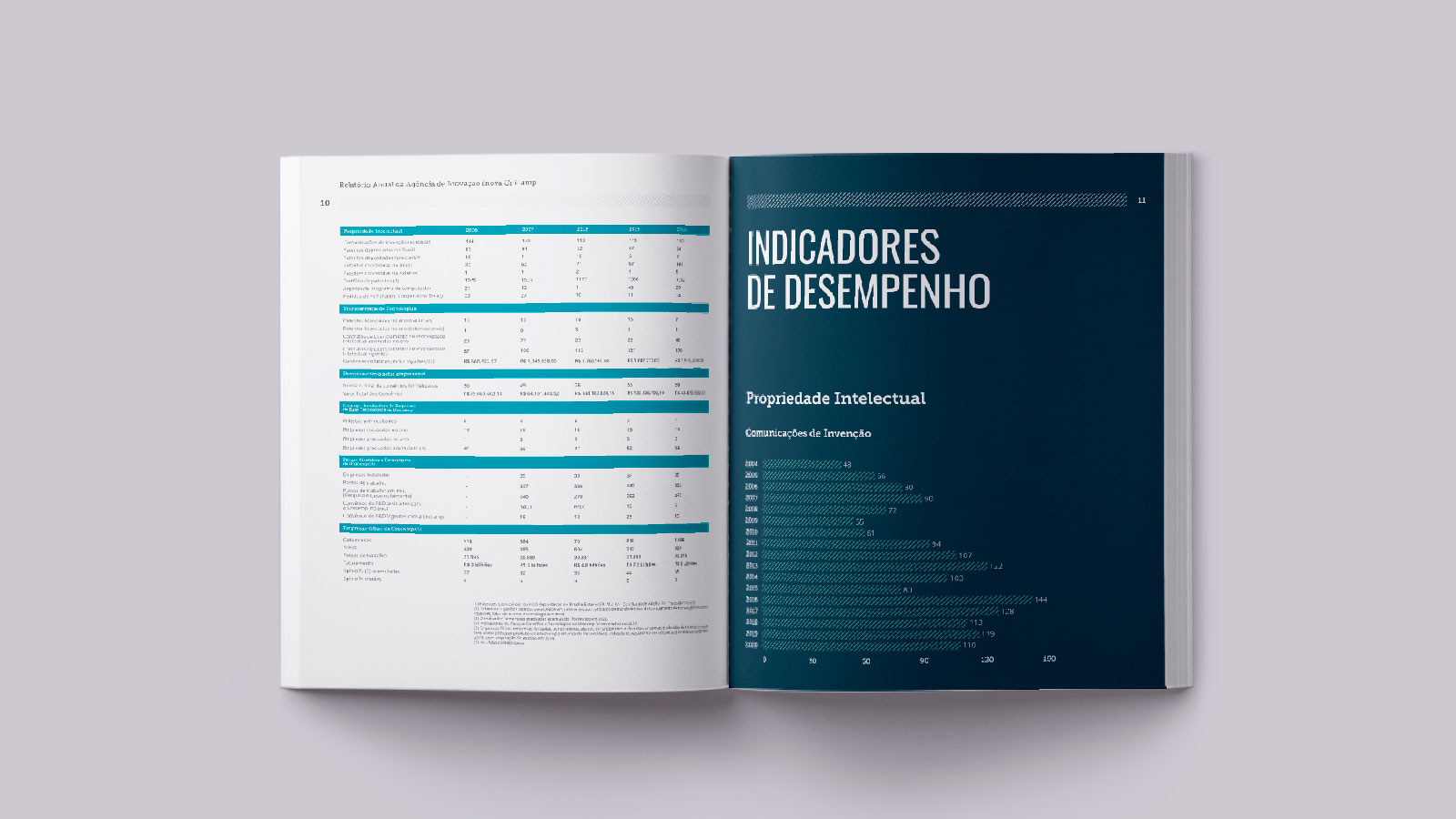 INV_Relatorio-Anual2020-2